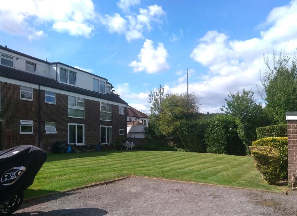 Commercial Grounds Maintenance